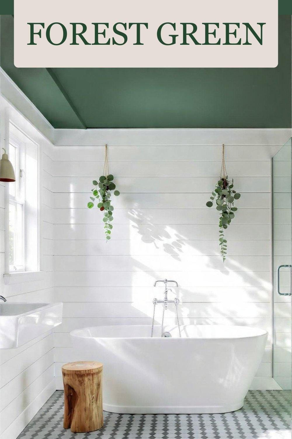 25 Forest Green Apartment Ideas Perfect for Nature Lovers — inspiration 9 of 24